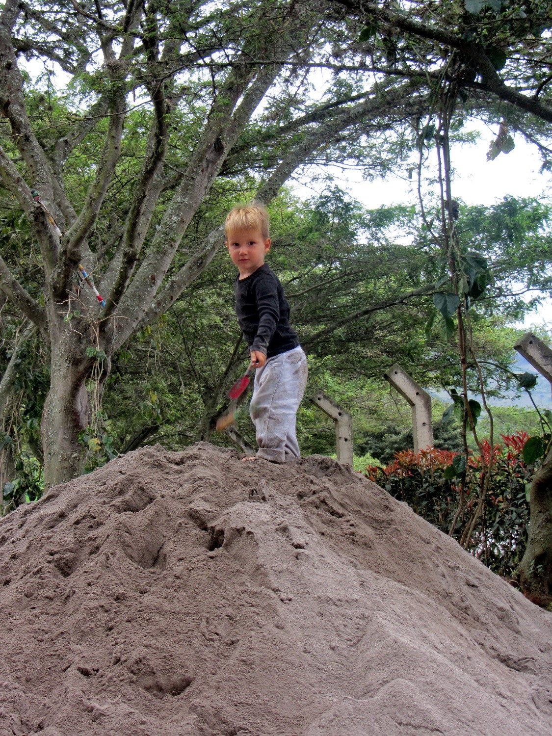 Little boy from Germany exploring Finca Sommerwind